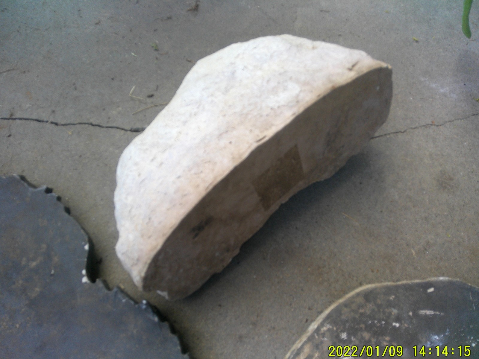 ASSORTMENT OF USED RESIN STEPPING STONES VERSES PLUS STONE SEASONAL