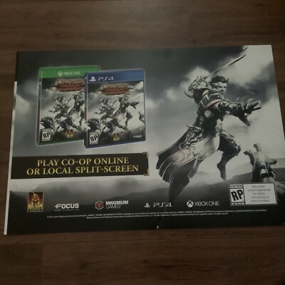 Divinity Original Sin Cardstock Thick Advertising Ps4 Xbox 1 Video Game Poster