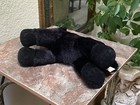 Picture 6 of 7