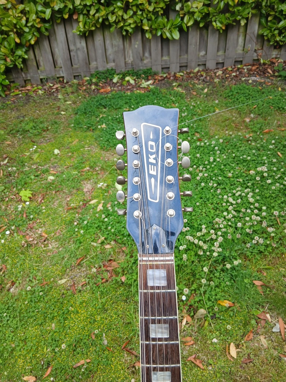 Picture 3 of 8
