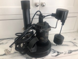 pump ps17 sje rhombus 120v 8ft vertical master