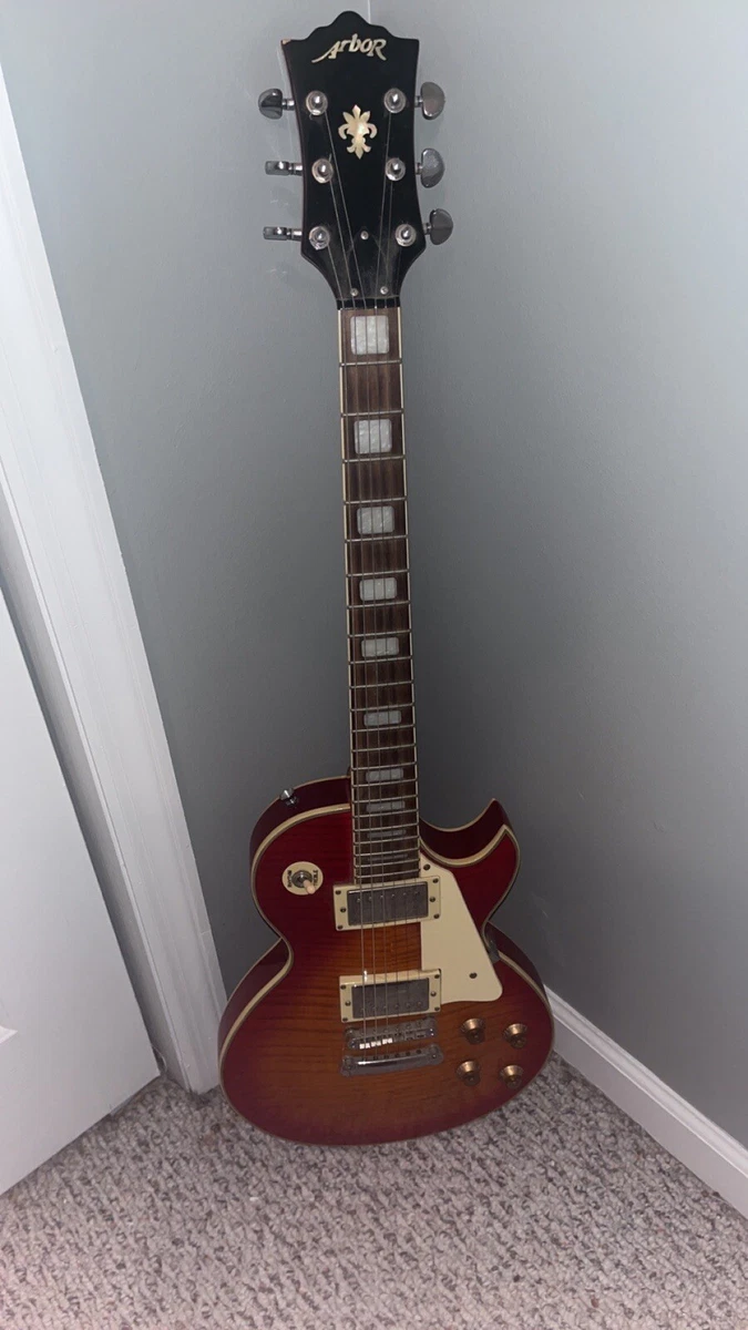 Arbor 6 string electric guitar