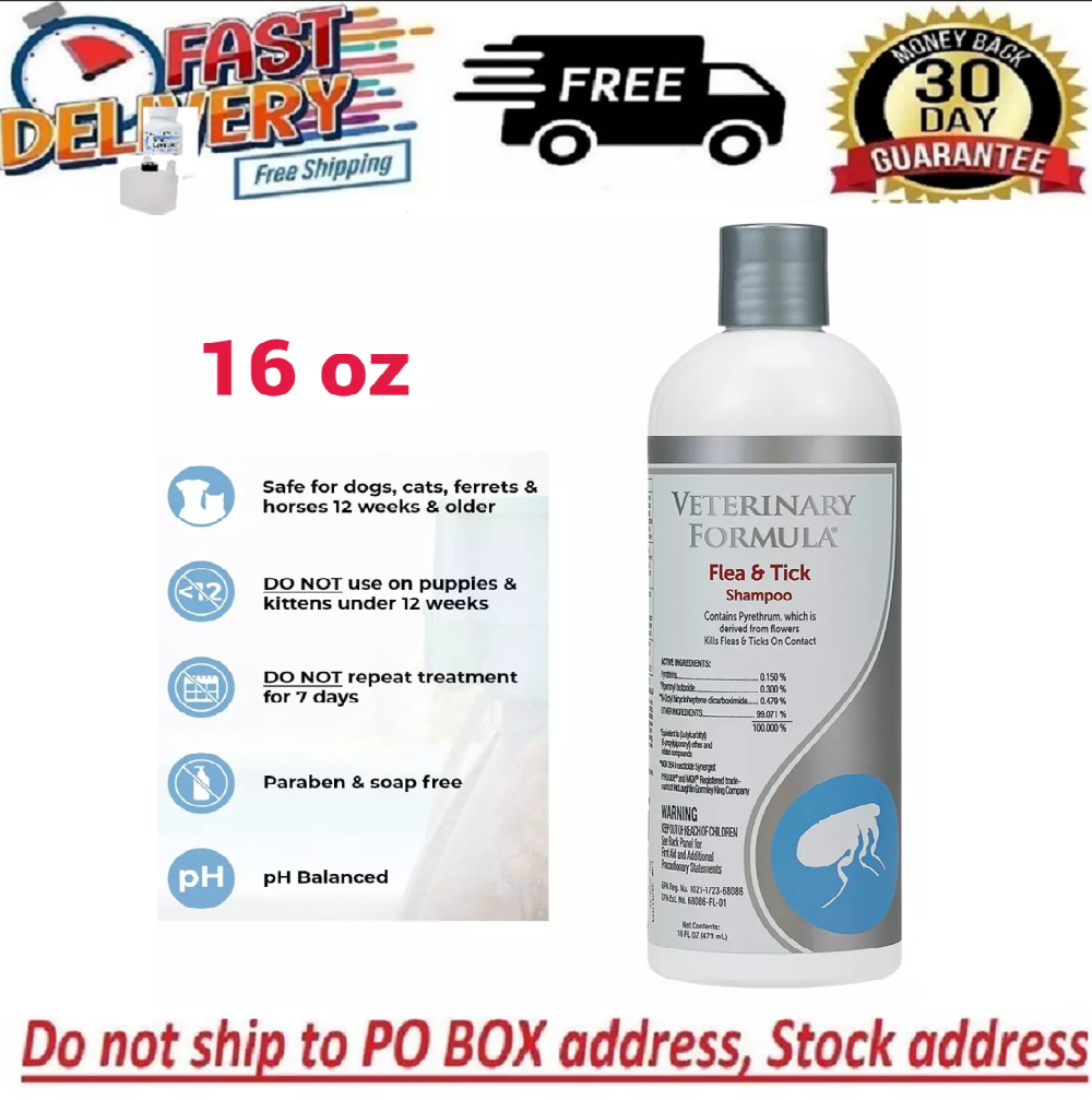 Shampoo Walmart Flea And Tick For Dogs Veterinary Formula Clinical