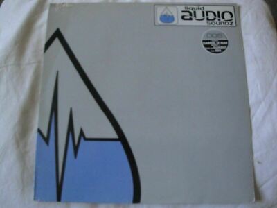 DUB CONNECTED PRESENTS MENTAL CHANT VINYL LP 2000 LIQUID AUDIO SOUNDZ GERMAN