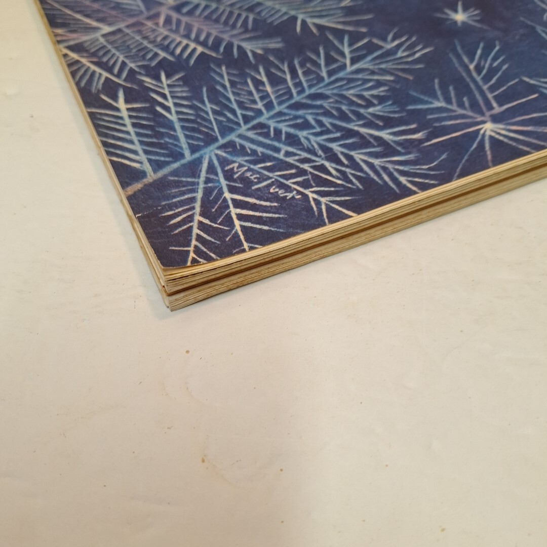 Picture 6 of 24