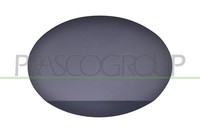 Tankklappe Grundiert FüR Mercedes - R Class (W251) - Mod. 08/05 - 04/10