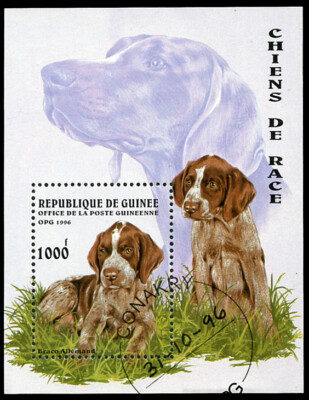 DEUTSCH KURZHAAR ZEIGER GSP Hund Briefmarke Kleinbogen Guinea Rep 1996 gebraucht
