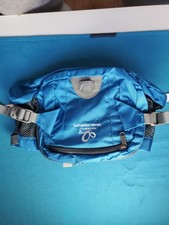 waterfly fanny pack blue
