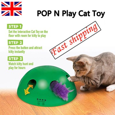 interactive motion cat toy