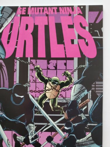 Teenage Mutant Ninja Turtles #23 VF 2ND APP OF LADY SHREDDER! FINAL ISSUE! - Picture 3 of 12