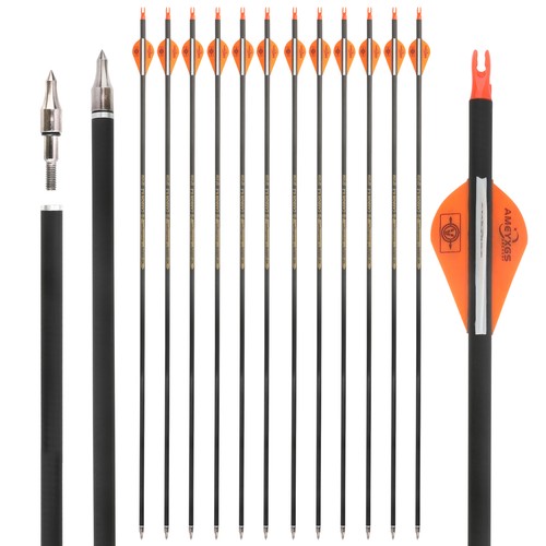 6/12 X 30'' Archery Arrow Pure Carbon SP300-600 ID6.2mm Bow Hunting Shooting - Picture 11 of 18