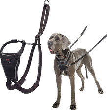 HALTI No Pull Harness - to Stop Your Dog Pulling on the Leash. Adjustable, Light