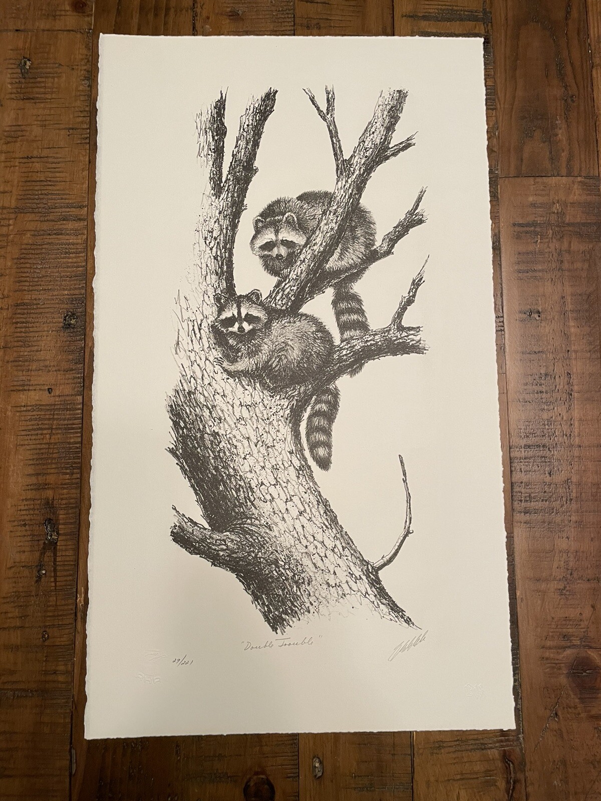 Picture 1 of 5