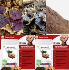 500 g. Black Ginger Powder Kaempferia Parviflora 100 Natural Pure Herb Herbal.