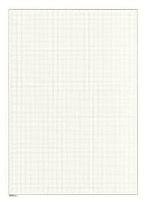 100 LINDNER 805A Blank Pages White A4 With Black Border Line 291X297Mm