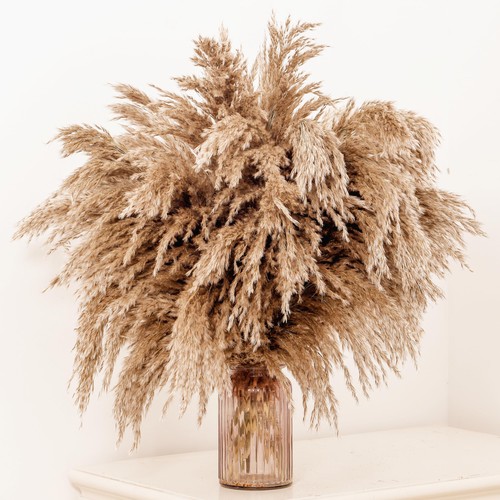 20-Pcs Fluffy Pampas Grass 70cm Tall Brown Dry Boho Room Decor Natural - Picture 1 of 5