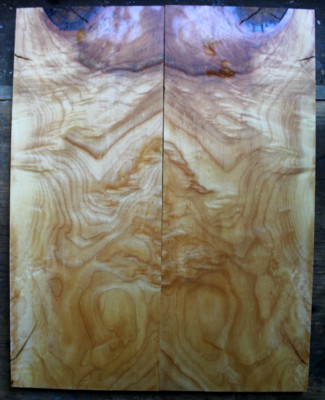 Curly figured sugar maple drop top .28'' thk bass guitar 2412