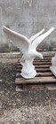 Bild 6 von 10