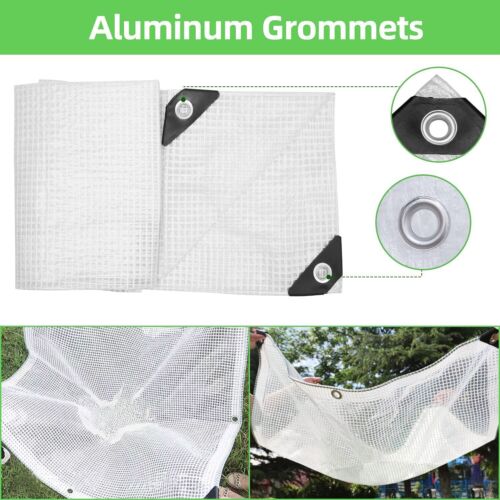 14 Mil Heavy Duty Clear Tarp Transparent Plane Gewächshaus Zelt Camping Beschattung - Bild 3 von 36
