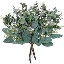 10 Pcs Mixed Eucalyptus Leaves Stems for Floral Wreath Garland Bouquets