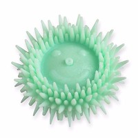 Chewable Toothbrushes 1 X 50 MInt Flavour- ROLLY