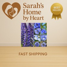 Wildflower Seeds Dazzling Blue Variety | 2 Ounce 30,000+ Seeds 10 Varieties A... 159.52 per gallon
