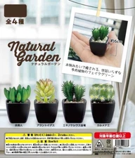 Artificial Succulent Plants All 4 Types Capsule Toy Gacha Gachapon Japan NCS