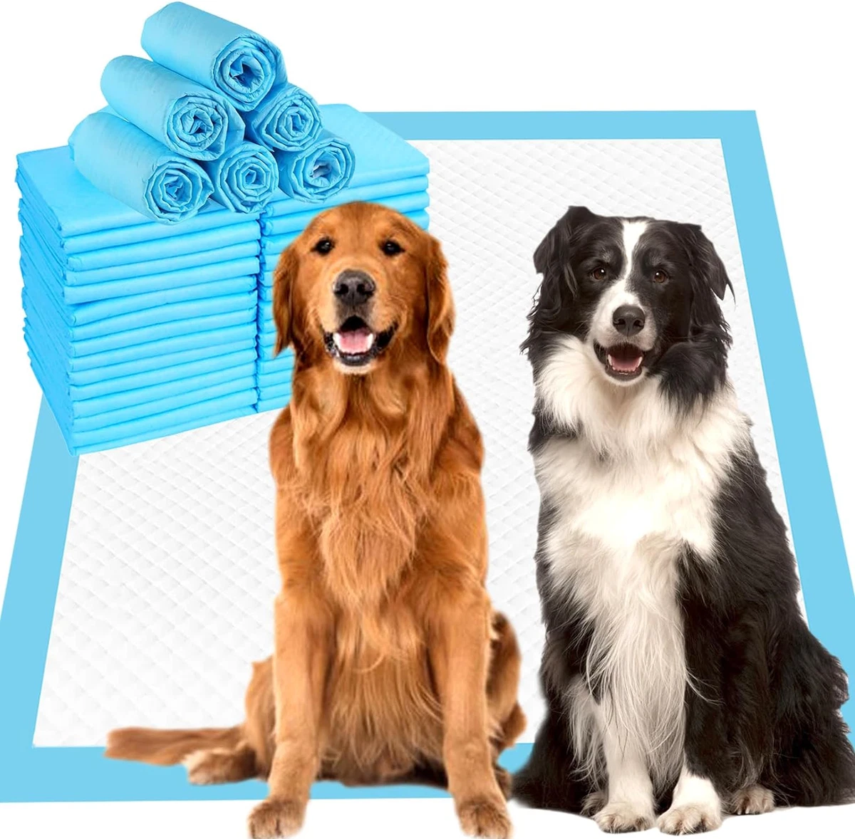 Large pee pads for older cheap dogs