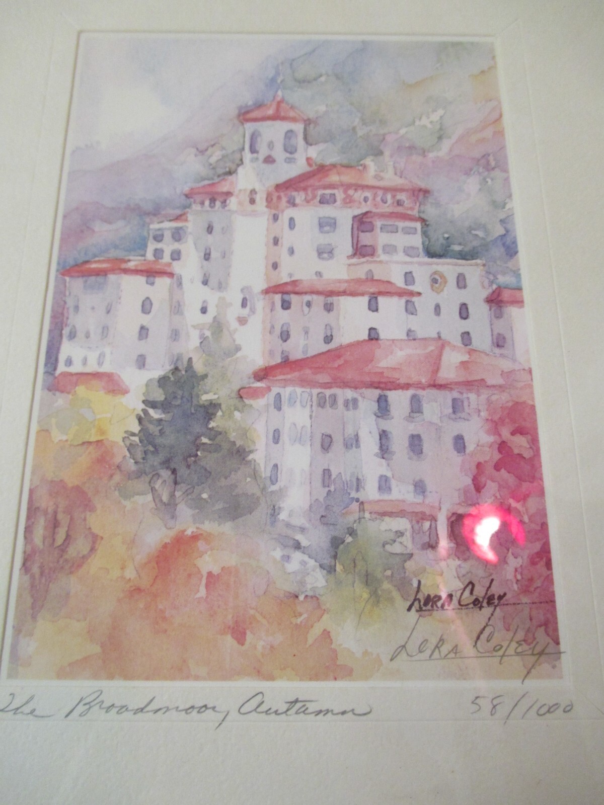 Picture 6 of 7