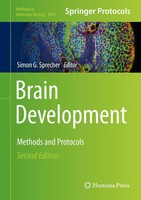 Simon G. Sprecher | Brain Development | Buch | Englisch (2019) | Xiv | Humana