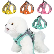 Dog Harness Adjustable Puppy Cat Harness Vest Breathable Mesh Chest Rope DIY