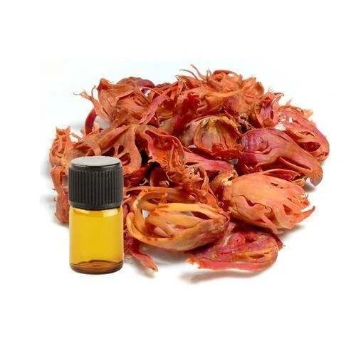 Mace Oil (Javitri) - Myristica fragrans - Picture 1 of 2