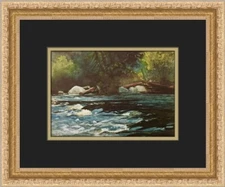 Winslow Homer The Rapids of Hudson River in the Adirondaks Custom Framed Print