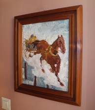 Eva Maria Wolzt (Tirolo) Viaggio frenetico nell'inverno 1977.