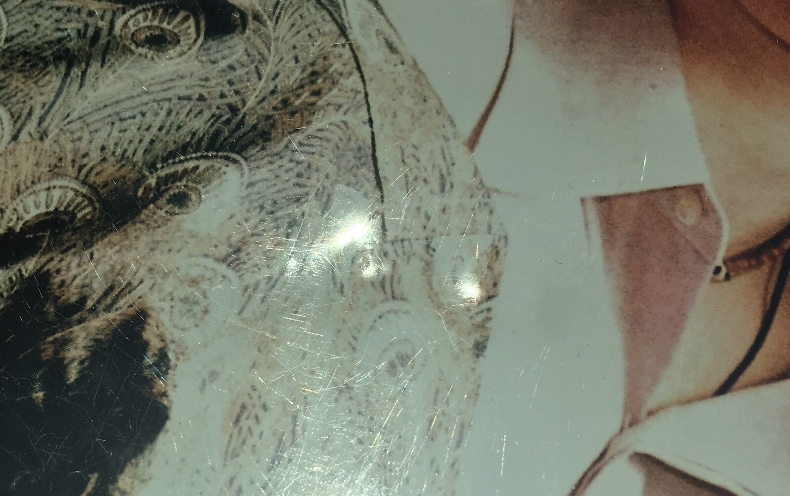 Foto 5 di 5