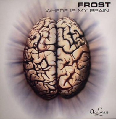 DJ Frost - Where Is My Brain (12'') 2000 Germany (VG)