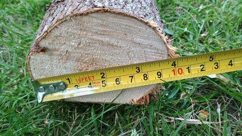 Leyland cypress timber with bark, wood turning, woodland crafting wood, real log - Picture 4 of 4
