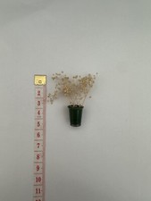 Minature Dolls House flowers-dolls house minatures