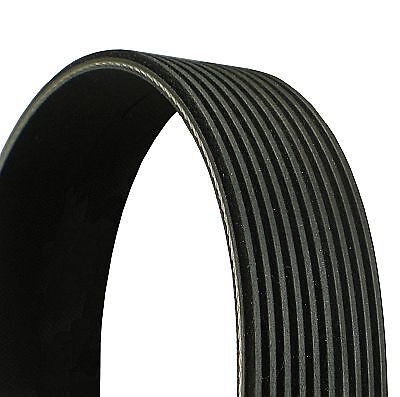 CONTINENTAL CTAM (10PK1675) Keilriemen Keilrippenriemen für VOLVO MERCEDES