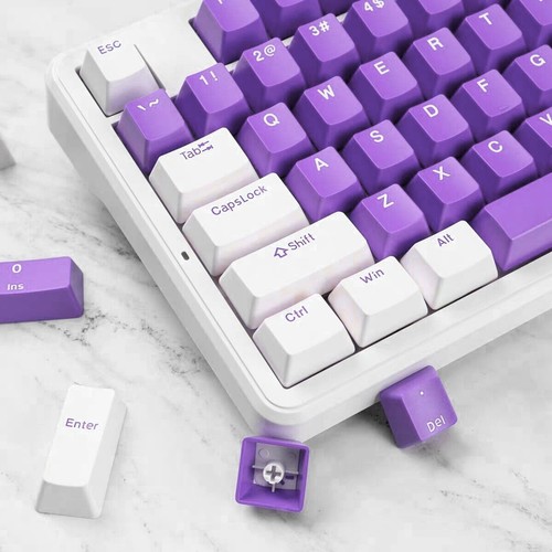 Juego de teclas PBT de doble color de doble disparo OEM para teclados mecánicos 61/87/104 MX - Imagen 23 de 24