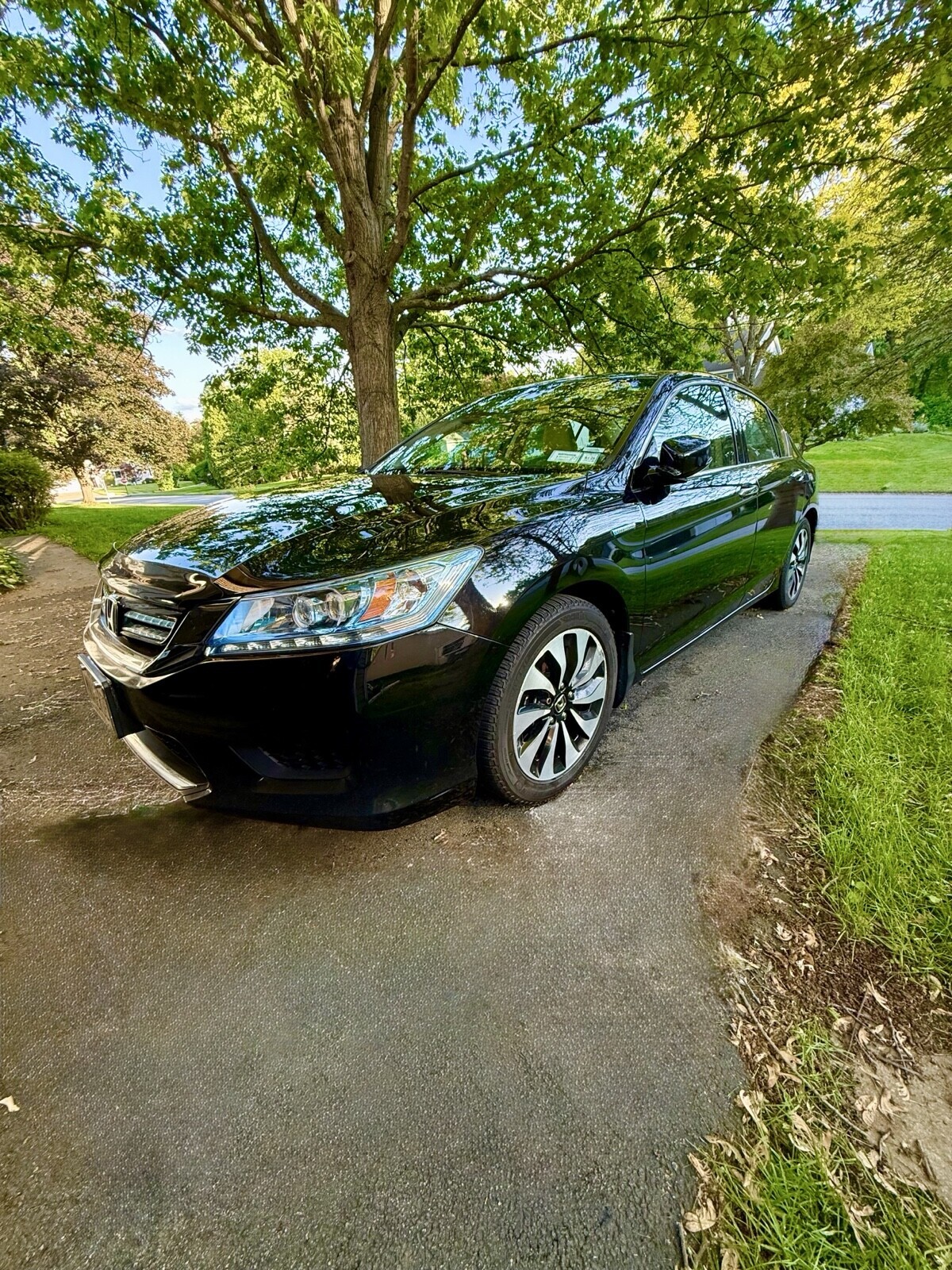Picture 1 of 40