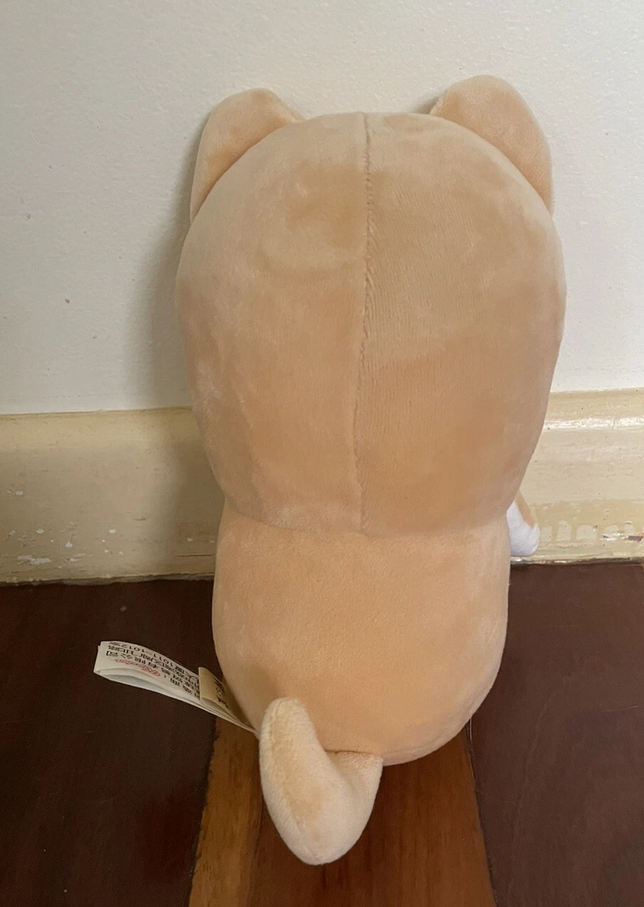 Picture 6 of 11