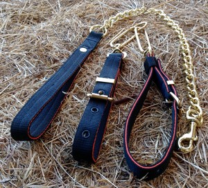 terrier locator collar