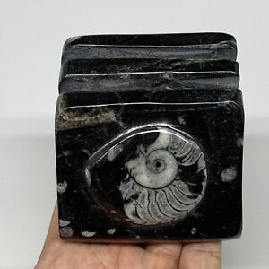 Handmade Business Card Holder Office Decor B8209 508g 2.9 x 2.9 x 2 Black Fossil Orthoceras with Ammonite Business Card Holder Marble Handicraft Handmade Business Card Holder Office Decor B8209 508g 2.9 x 2.9 x 2 Black Fossil Orthoceras with Ammonite Business Card Holder Marble Handicraft