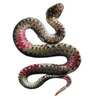 AufbüGler BüGelmotiv Applikation Patch Schlange Snake Bunt AufnäHer Neu