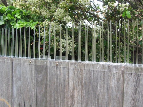 POSSUM SPIKES * 1 METRE * POLYCARBONATE PLASTIC Stops Walking Along Fences Walls - Picture 6 of 7