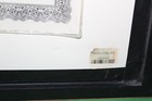 Picture 11 of 11