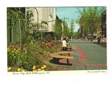 Center City Mall Williamsport PA Vintage postcard Unposted