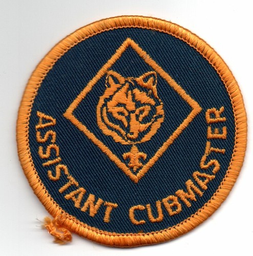 Cub Scout Adult Leadership Position patches badges of office used good condition - Picture 3 of 7