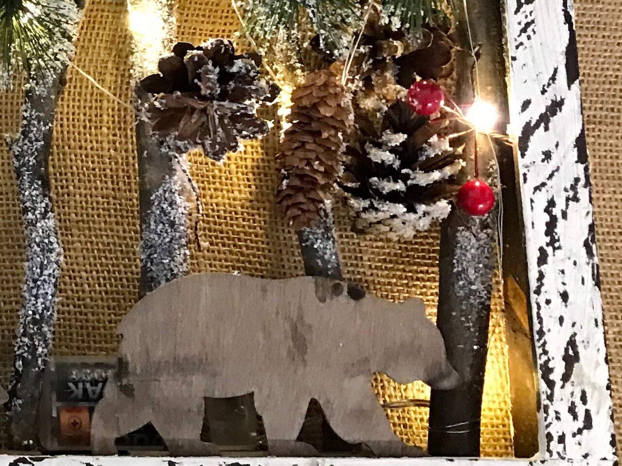 Picture 5 of 13